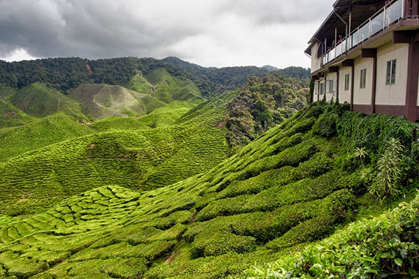 جاذبه های گردشگری مالزی