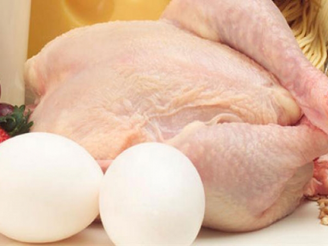 آخرین وضعیت آنفولانزای حاد پرندگان/ تخم‌مرغ ارزان شد