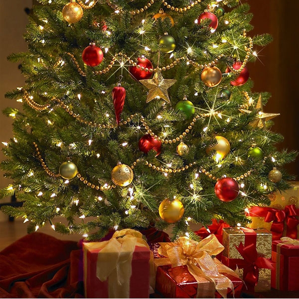 تاریخچه درخت کاج کریسمس