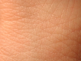 شناخت لایه های پوست انسان