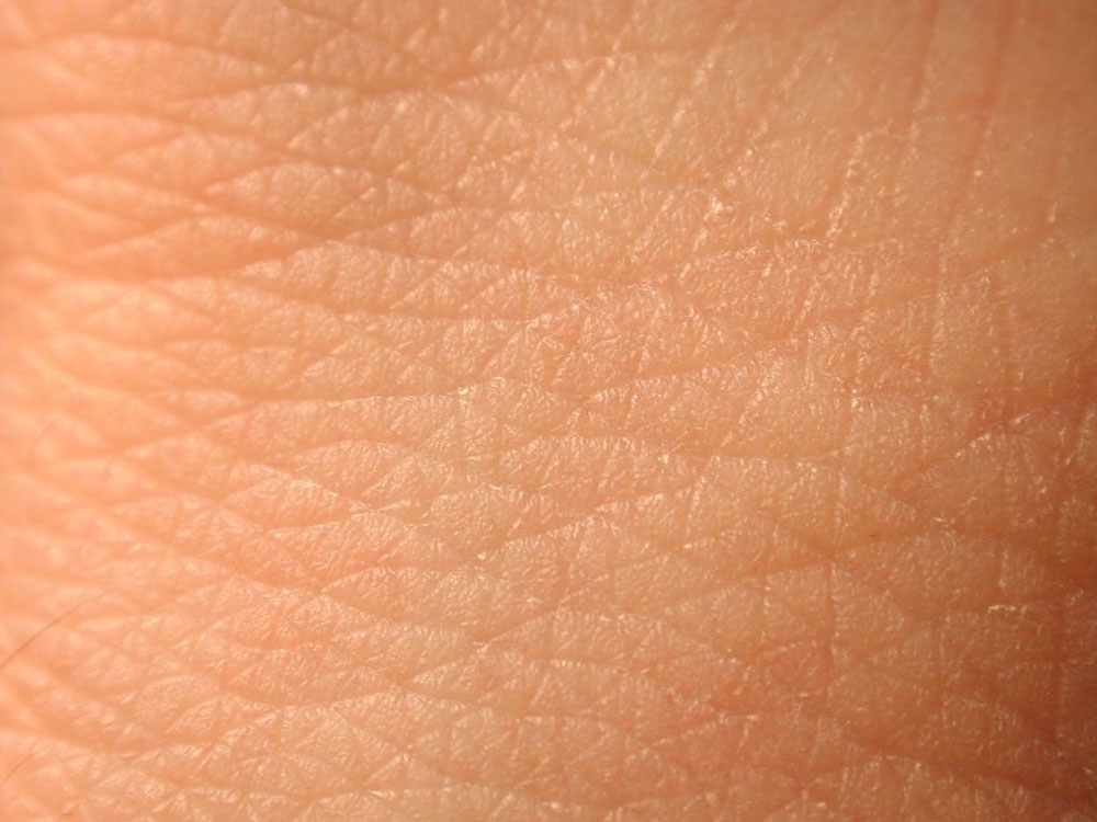 شناخت لایه های پوست انسان