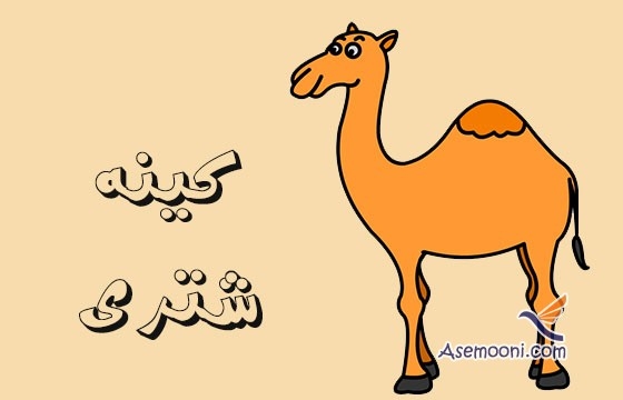 کینه شتری یعنی چه ؟