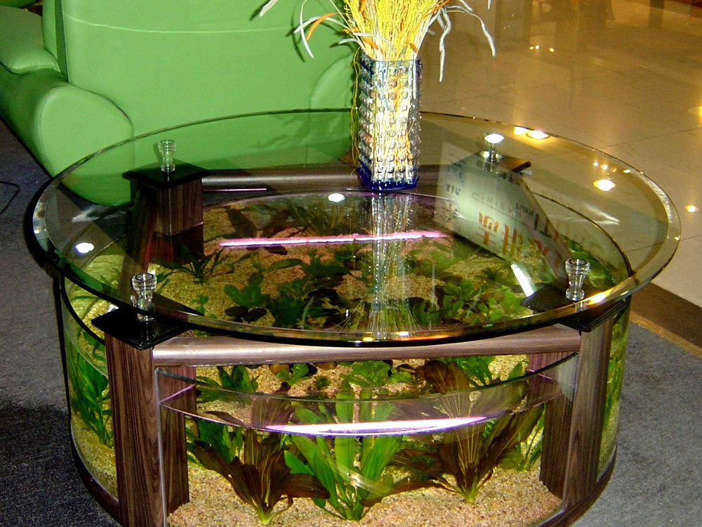 tehran-aquarium4