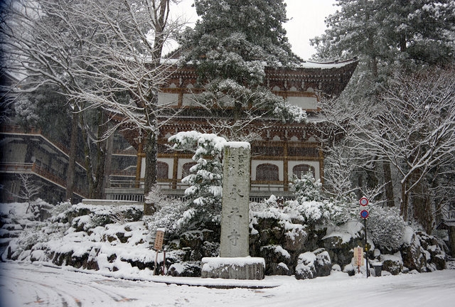 شهر Fukui در ژاپن