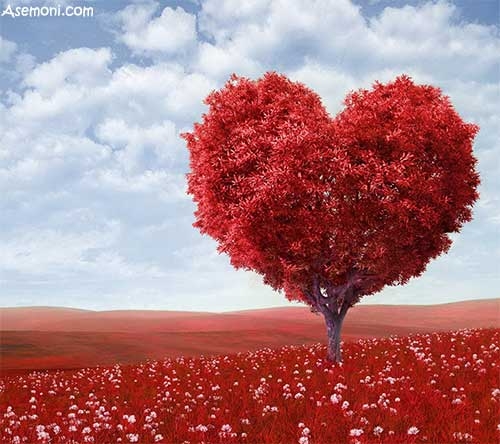 سخنان بزرگان در مورد عشق