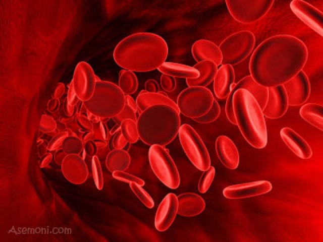 4 ماده غذایی برای پیشگیری از کم خونی 4 ماده غذایی برای پیشگیری از کم خونی