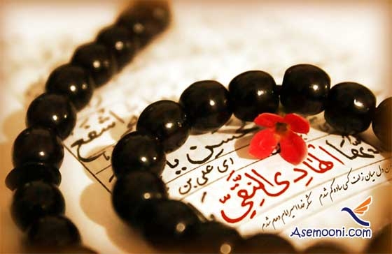 زندگینامه حضرت امام هادی (ع)