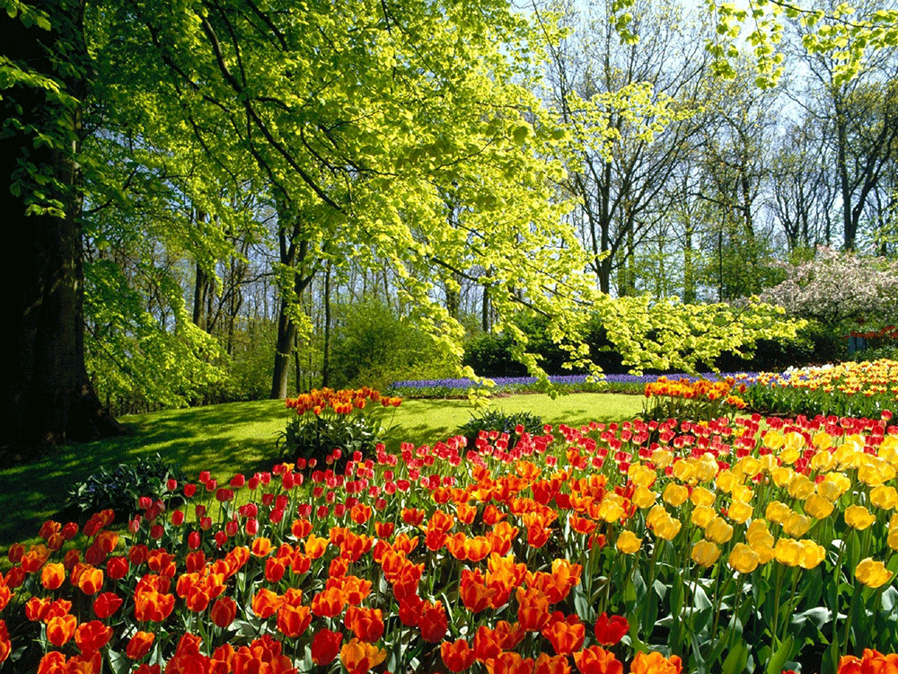 عکس هایی از طبیعت زیبای ایران