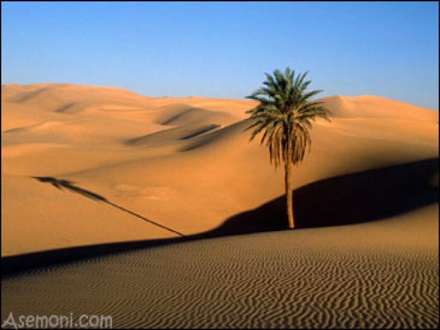 کویر مرنجاب کویر مرنجاب