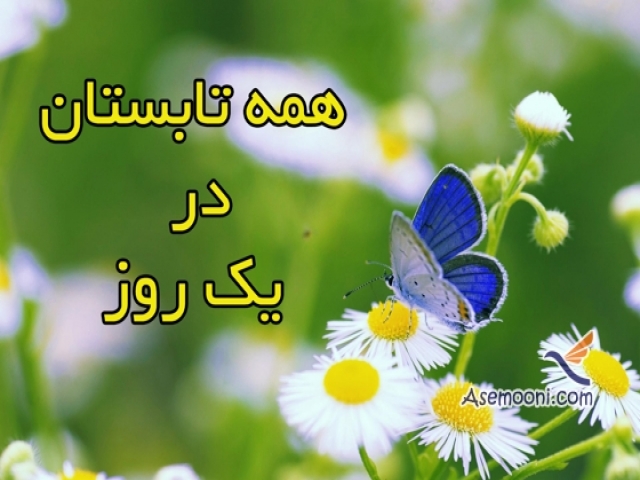 داستان کوتاه : همه تابستان در یک روز داستان کوتاه : همه تابستان در یک روز