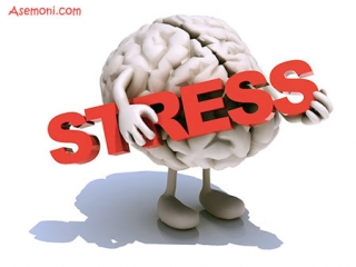 استرس (stress) در زبان انگلیسی