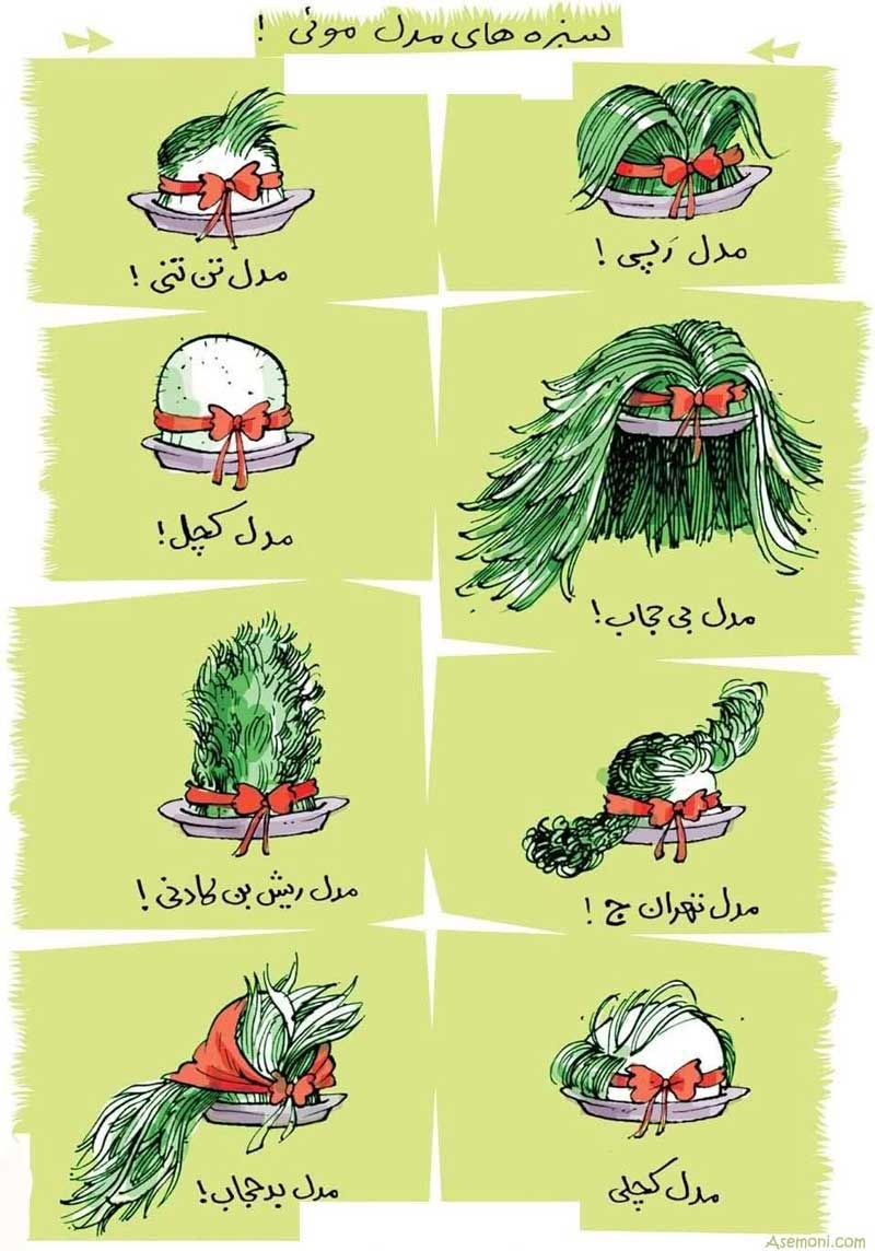 سبزه های مدل مویی!!!