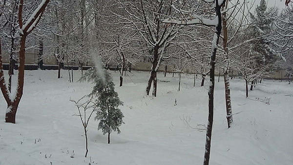 snow-images-in-karaj