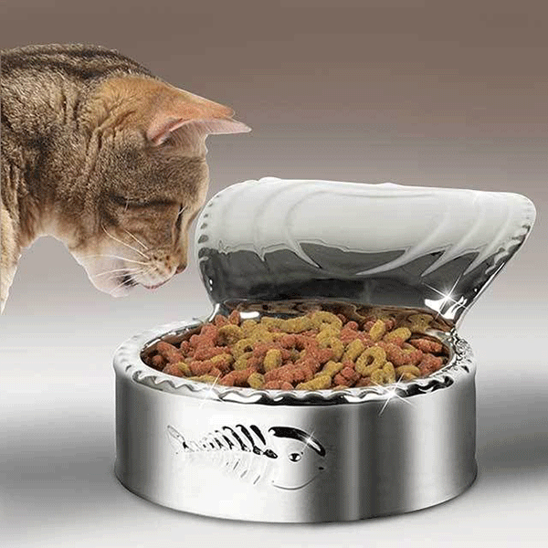بهترین غذای مناسب برای گربه