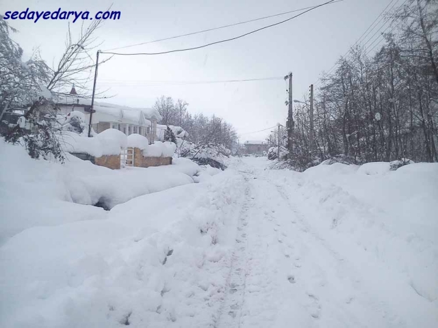 یادی از برف شدید در مازندران