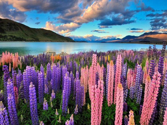 کشورهای دیدنی در فصل بهار