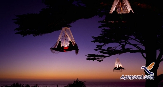 بهترین انتخاب ...