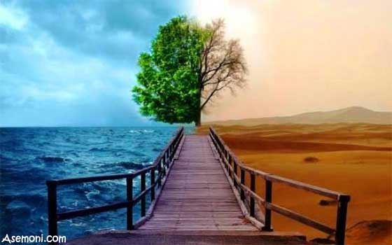 راه های نگهداری از محیط زیست