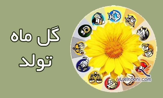 گل ماه تولد شما چیست؟
