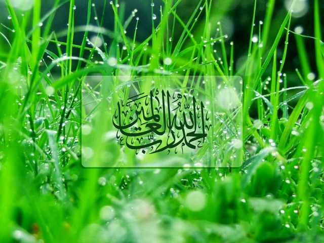 خدایا شکرت به خاطر همه چی خدایا شکرت به خاطر همه چی