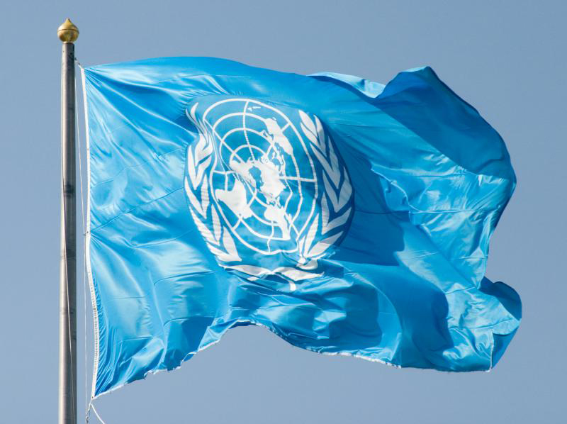 سازمان ملل متحد (UN)