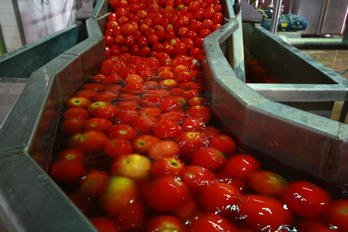 بهترین کارخانه رب گوجه فرنگی در ایران