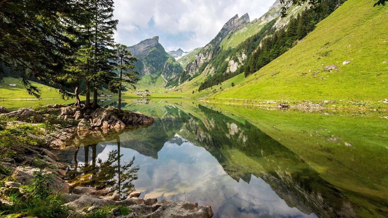 تور سوئیس