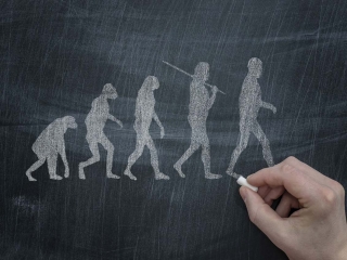 چرا داروین نظریه تکامل انسان از نسل میمون را مطرح کرد؟