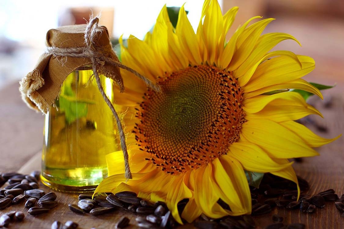 روغن آفتابگردان و خواص آن