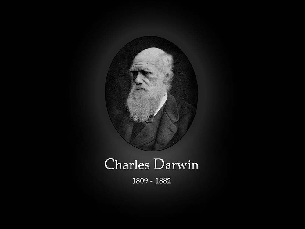 darwins-theory-human-evolution