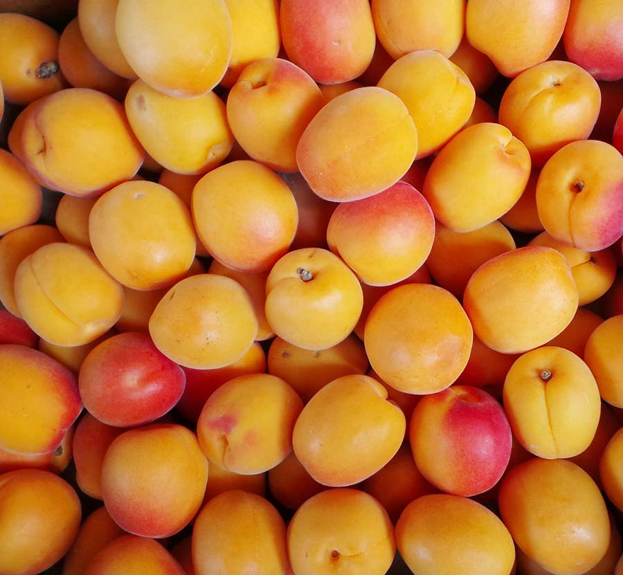 زردآلو، کم کالری ترین میوه تابستانی