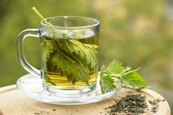 celery-herbal-tea