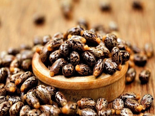 روغن کرچک و خواص آن روغن کرچک و خواص آن