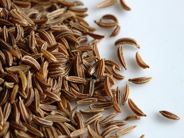 روغن زیره و خواص آن روغن زیره و خواص آن
