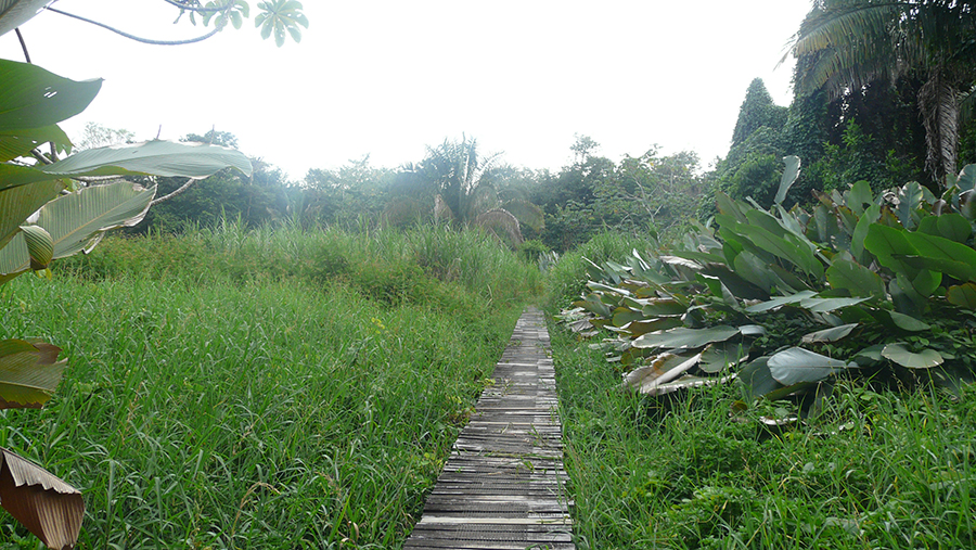 پناهگاه ملی حیات وحش آفین دابارو تور کاستاریکا