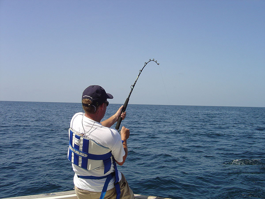 ورزش ماهیگیری