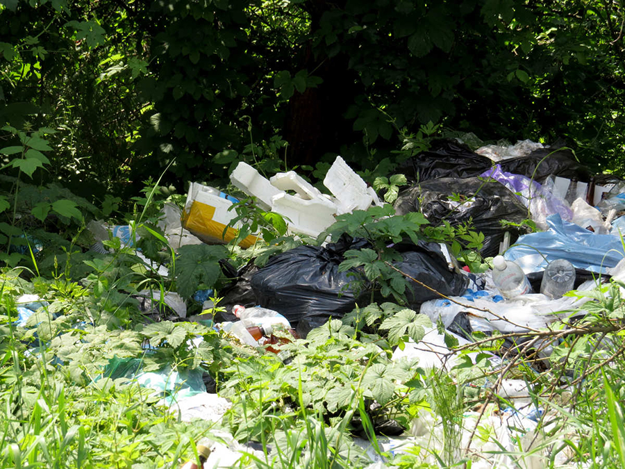 ریختن زباله در طبیعت = نابودی محیط زیست