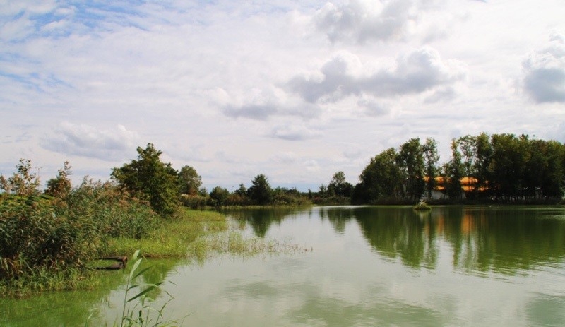 دریا زیبا کنار