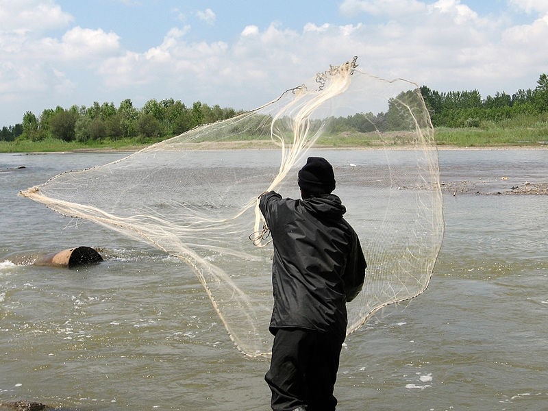 ساحل سفید رود