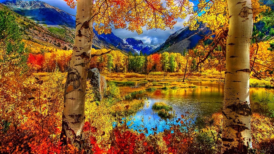 داستان کوتاه فصل پاییز