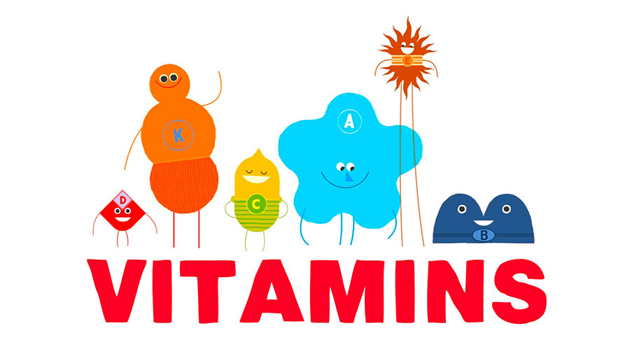 ویتامین های مورد نیاز بدن و تاثیرات ویتامین ها