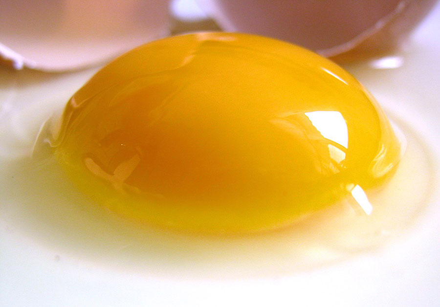 تخم مرغ برای فرم دهی سینه ها