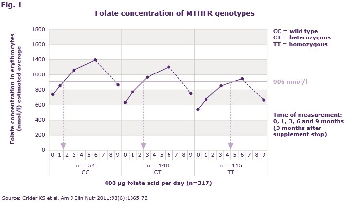 نیمی از بانوان ایرانی نمی توانند فولات را جذب کنند.