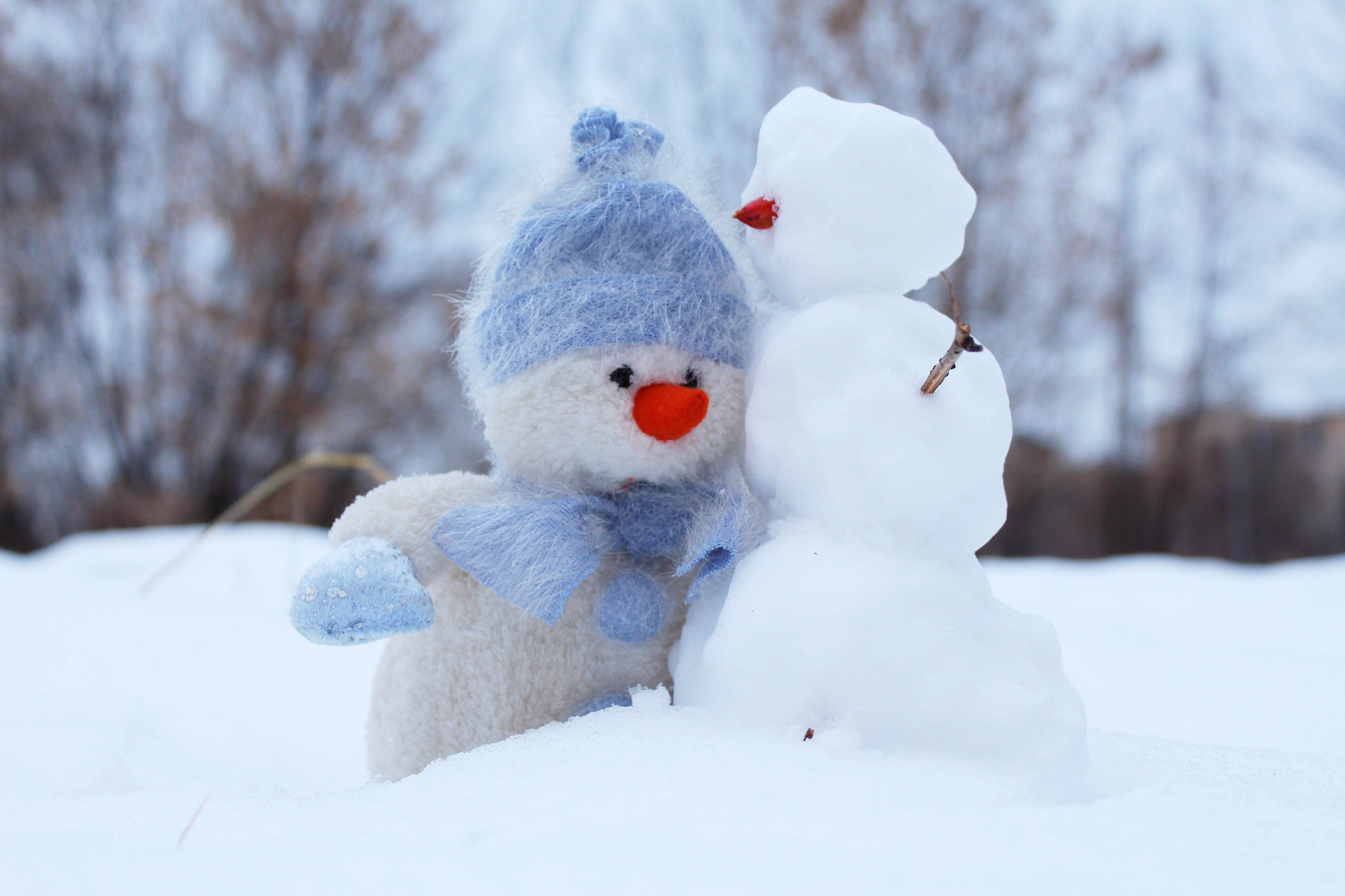 چگونگی تشکیل برف به زبان ساده برای کودکان