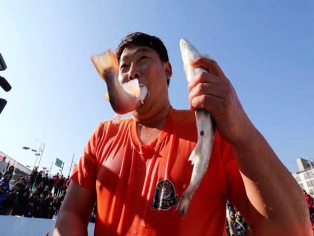 جشنواره عجیب ماهیگیری در کره جنوبی