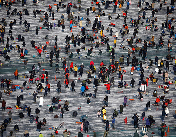 the-curious-festival-of-fishing-in-south-korea