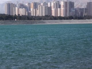 از تماس با پرندگان دریاچه چیتگر خودداری کنید