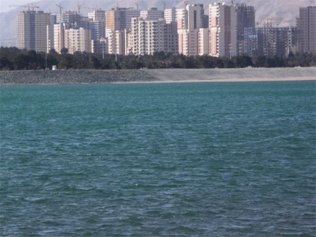 از تماس با پرندگان دریاچه چیتگر خودداری کنید از تماس با پرندگان دریاچه چیتگر خودداری کنید
