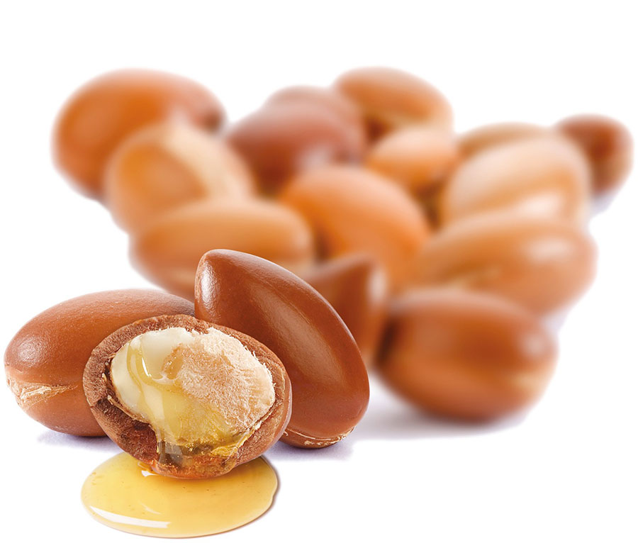 روغن آرگان و خواص ارگان