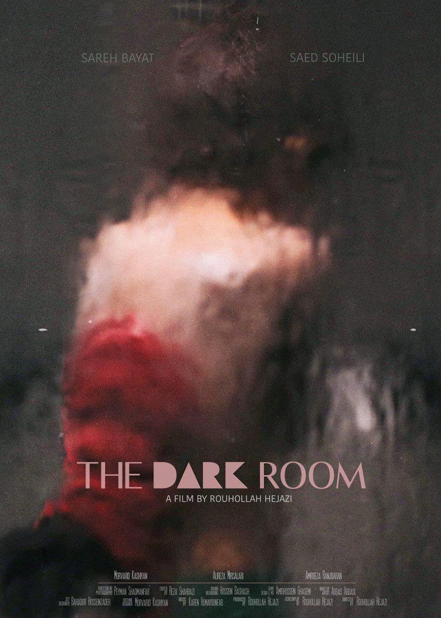 the-dark-room